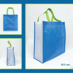 Bolsa Ecológica con Fuelle Chica con Asas